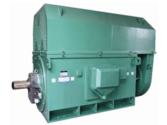 洋浦经济开发区YKK系列高压电机